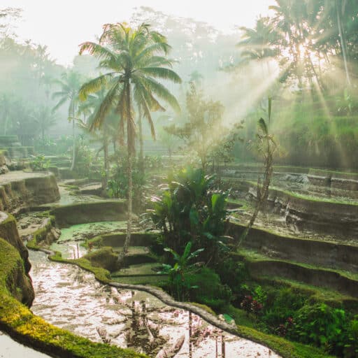 Celukan Bawang (Bali), Indonesia