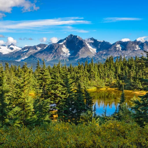 Seward (Anchorage), Alaska