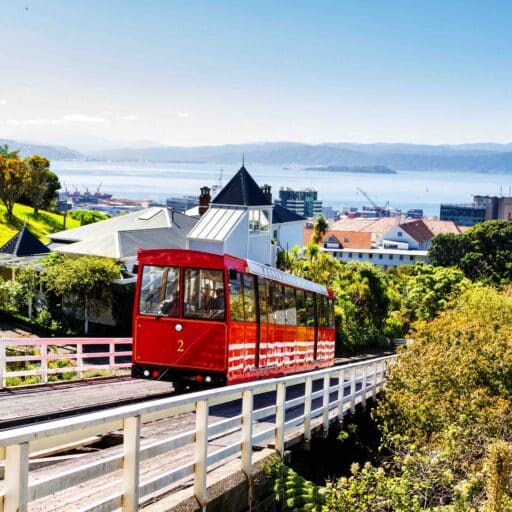 WELLINGTON, NEW ZEALAND